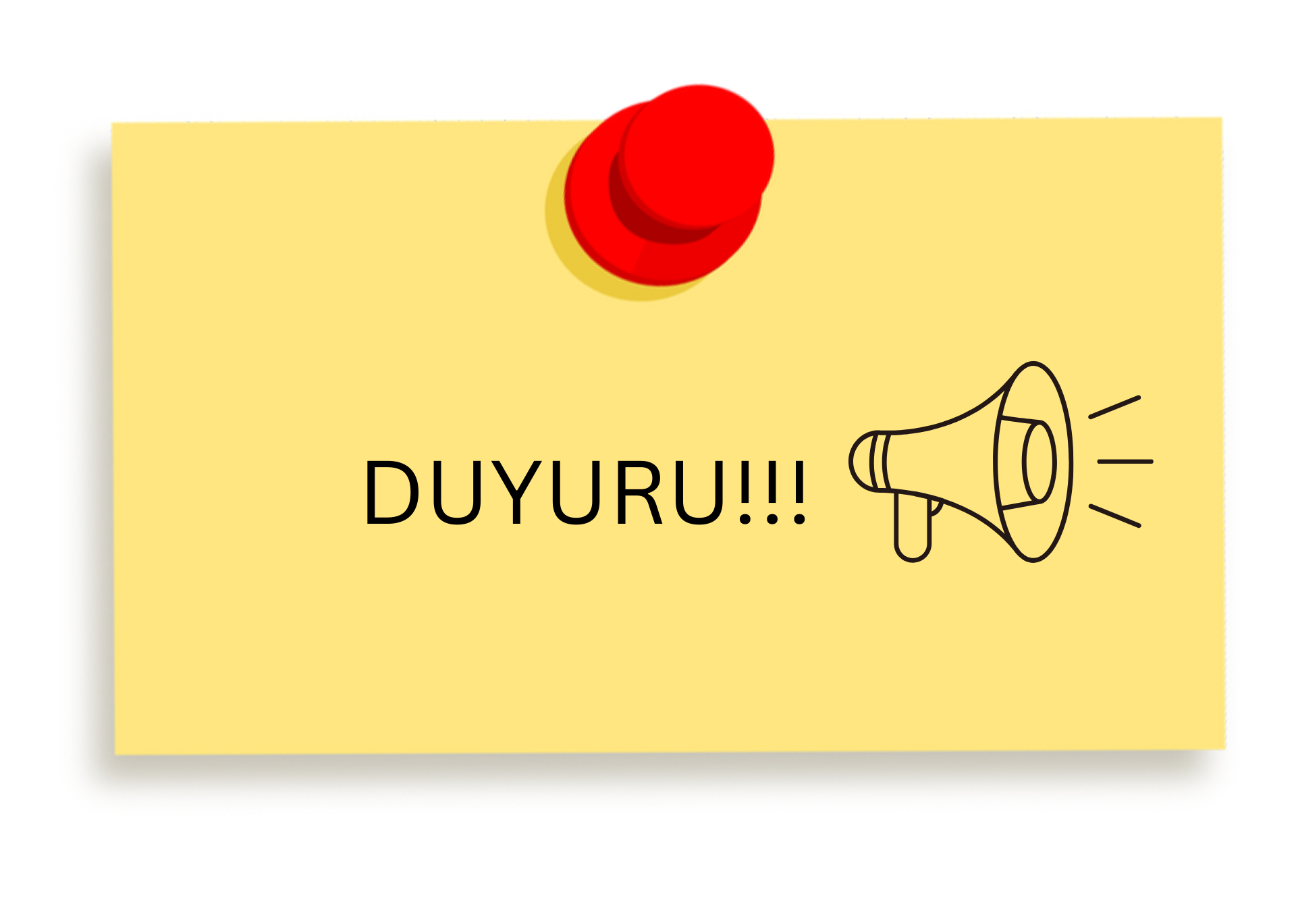 Yaz Okulu Hakkında!!